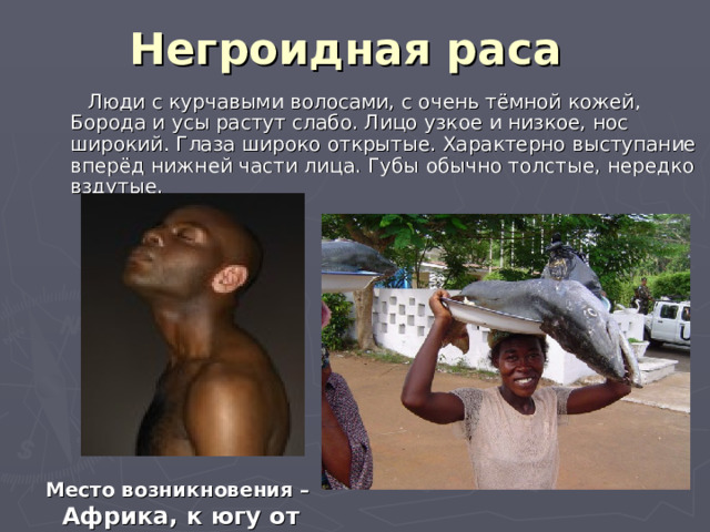 Негроидная раса  Люди с курчавыми волосами, с очень тёмной кожей, Борода и усы растут слабо. Лицо узкое и низкое, нос широкий. Глаза широко открытые. Характерно выступание вперёд нижней части лица. Губы обычно толстые, нередко вздутые. Место возникновения –  Африка, к югу от Сахары 