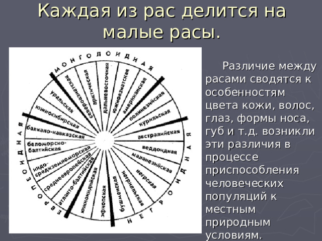 Каждая из рас делится на малые расы.    Различие между расами сводятся к особенностям цвета кожи, волос, глаз, формы носа, губ и т.д. возникли эти различия в процессе приспособления человеческих популяций к местным природным условиям. 