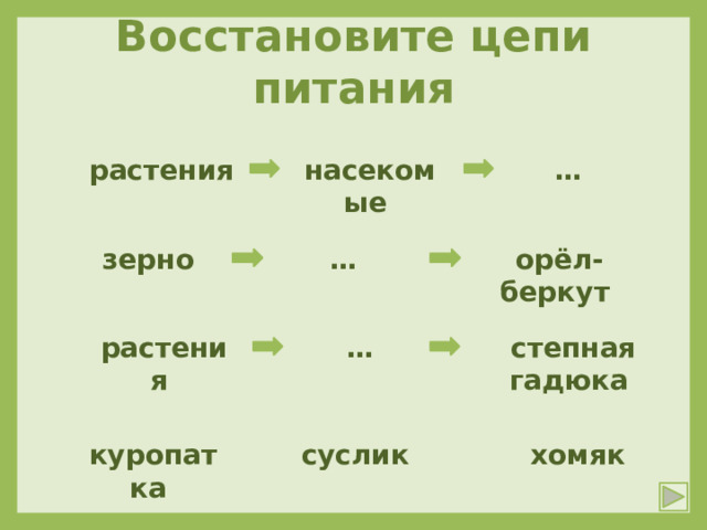 Схема питания степной зоны