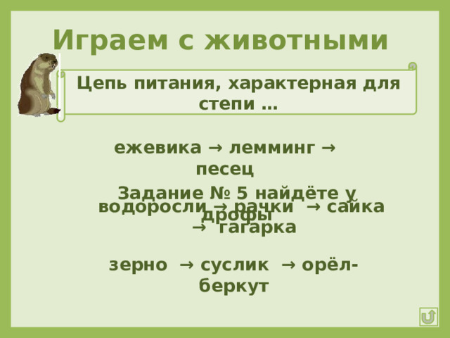 Цепь питания степной зоны. Цепь питания характерная для степи. Схема питания характерная для степи. Цепочка питания характерная для степи. Составить схему цепи питания характерной для степи.