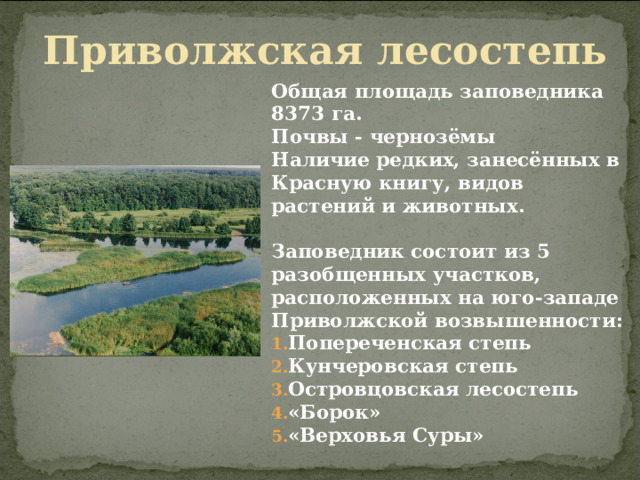 Приволжская лесостепь Общая площадь заповедника 8373 га. Почвы - чернозёмы Наличие редких, занесённых в Красную книгу, видов растений и животных.  Заповедник состоит из 5 разобщенных участков, расположенных на юго-западе Приволжской возвышенности: Попереченская степь Кунчеровская степь Островцовская лесостепь «Борок» «Верховья Суры»  