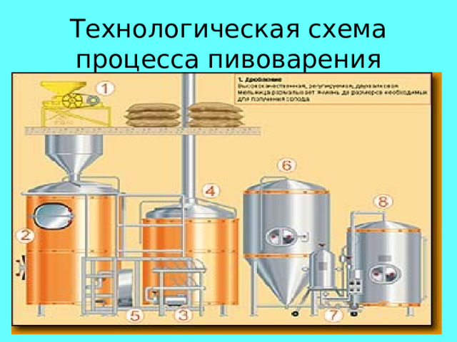 Технологическая схема процесса пивоварения 