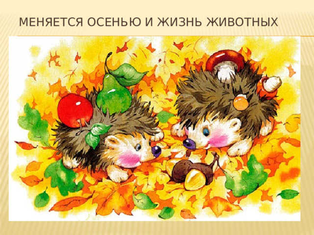Меняется осенью и жизнь животных 