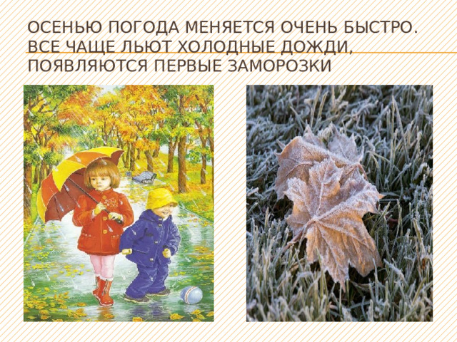 Осенью погода меняется очень быстро. Все чаще льют холодные дожди, появляются первые заморозки  