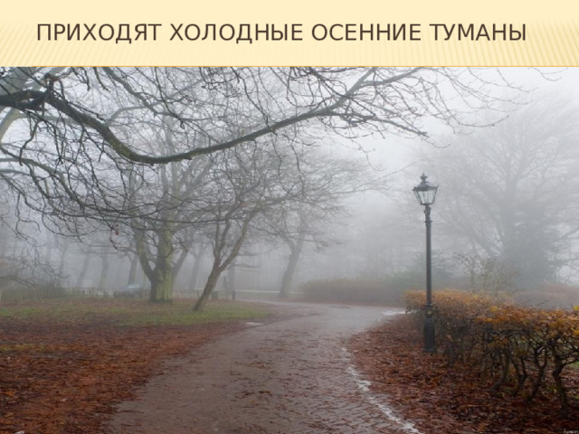 Приходят холодные осенние туманы 