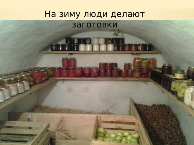На зиму люди делают заготовки 