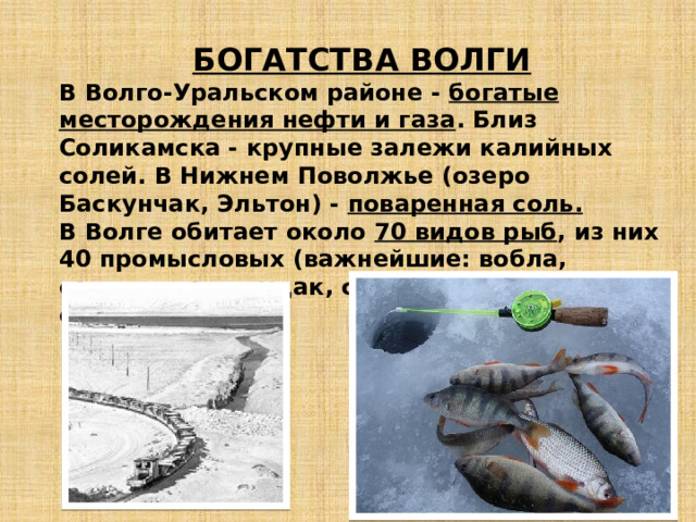 БОГАТСТВА ВОЛГИ В Волго-Уральском районе - богатые месторождения нефти и газа . Близ Соликамска - крупные залежи калийных солей. В Нижнем Поволжье (озеро Баскунчак, Эльтон) - поваренная соль. В Волге обитает около 70 видов рыб , из них 40 промысловых (важнейшие: вобла, сельдь, лещ, судак, сазан, сом, щука, стерлядь). 