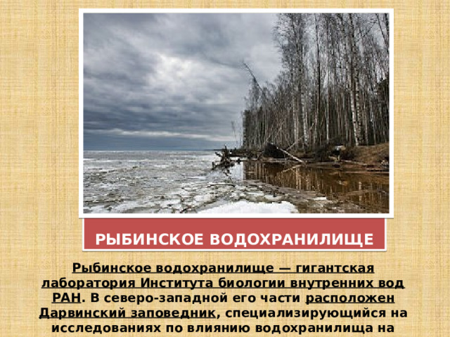 РЫБИНСКОЕ ВОДОХРАНИЛИЩЕ Рыбинское водохранилище — гигантская лаборатория Института биологии внутренних вод РАН . В северо-западной его части расположен Дарвинский заповедник , специализирующийся на исследованиях по влиянию водохранилища на природные комплексы южной тайги.  