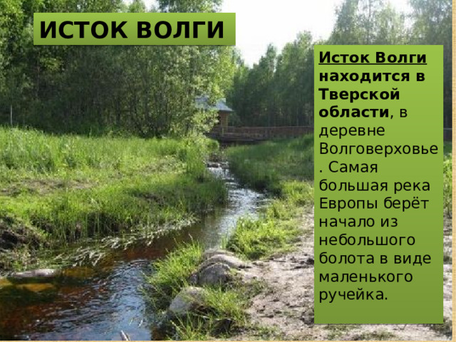 ИСТОК ВОЛГИ Исток Волги находится в Тверской области , в деревне Волговерховье. Самая большая река Европы берёт начало из небольшого болота в виде маленького ручейка.    