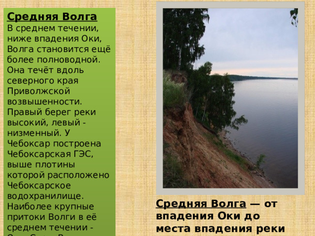 Средняя Волга В среднем течении, ниже впадения Оки, Волга становится ещё более полноводной. Она течёт вдоль северного края Приволжской возвышенности. Правый берег реки высокий, левый - низменный. У Чебоксар построена Чебоксарская ГЭС, выше плотины которой расположено Чебоксарское водохранилище. Наиболее крупные притоки Волги в её среднем течении - Ока, Сура, Ветлуга и Свияга. Средняя Волга — от впадения Оки до места впадения реки Камы 