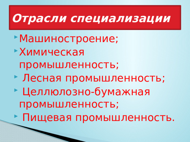 Специализации лесной промышленности