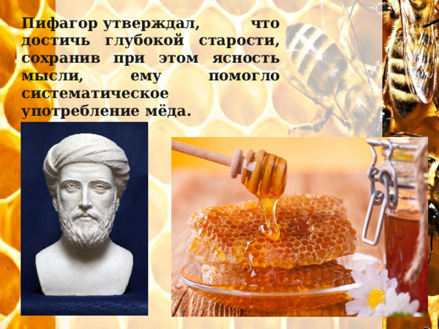 Пифагор утверждал, что достичь глубокой старости, сохранив при этом ясность мысли, ему помогло систематическое употребление мёда. 