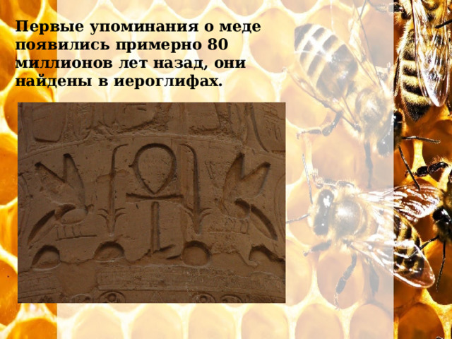 Первые упоминания о меде появились примерно 80 миллионов лет назад, они найдены в иероглифах. 