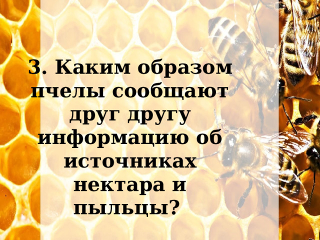 3. Каким образом пчелы сообщают друг другу информацию об источниках нектара и пыльцы? 