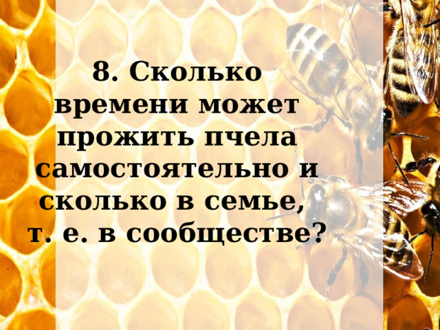 8. Сколько времени может прожить пчела самостоятельно и сколько в семье, т. е. в сообществе? 