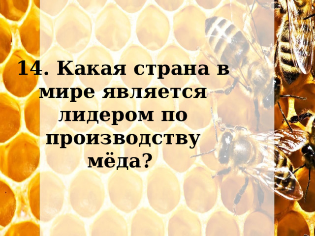14. Какая страна в мире является лидером по производству мёда? 