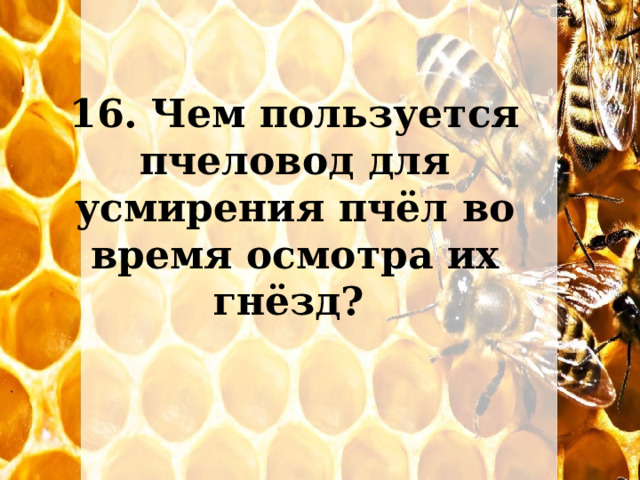 16. Чем пользуется пчеловод для усмирения пчёл во время осмотра их гнёзд? 