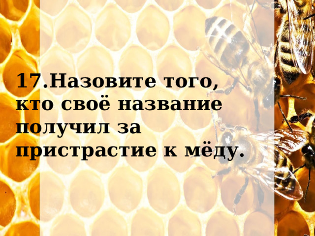 17.Назовите того, кто своё название получил за пристрастие к мёду. 