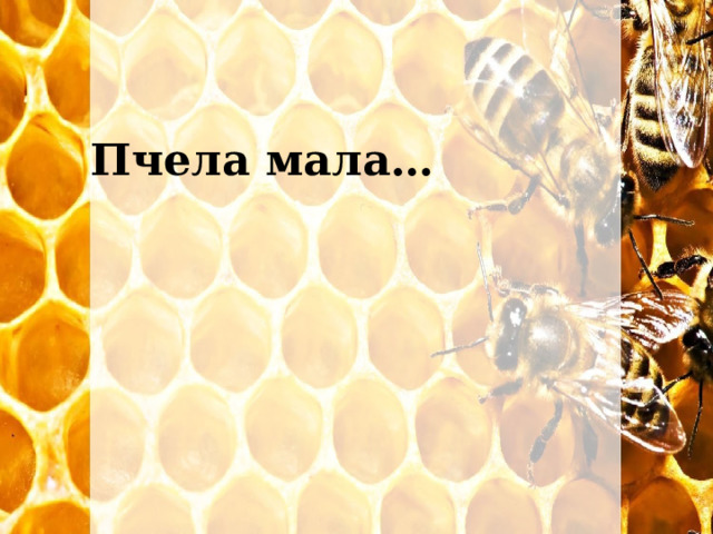 Пчела мала… 