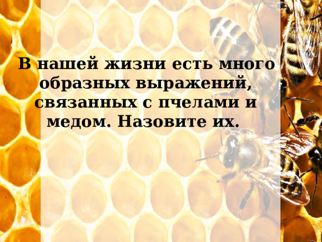   В нашей жизни есть много образных выражений, связанных с пчелами и медом. Назовите их. 
