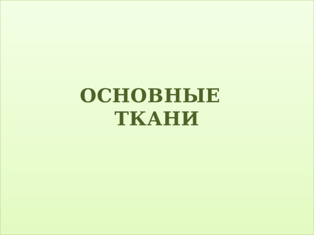  ОСНОВНЫЕ ТКАНИ   