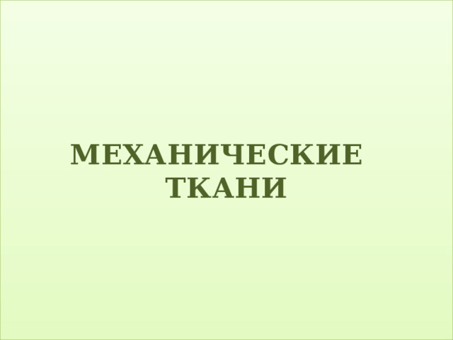 МЕХАНИЧЕСКИЕ ТКАНИ 