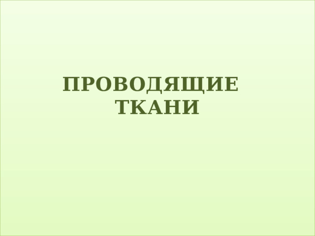 ПРОВОДЯЩИЕ ТКАНИ   