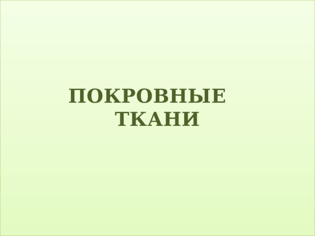  ПОКРОВНЫЕ ТКАНИ   