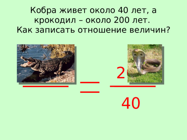 Кобра живет около 40 лет, а крокодил – около 200 лет.  Как записать отношение величин? 200 40 