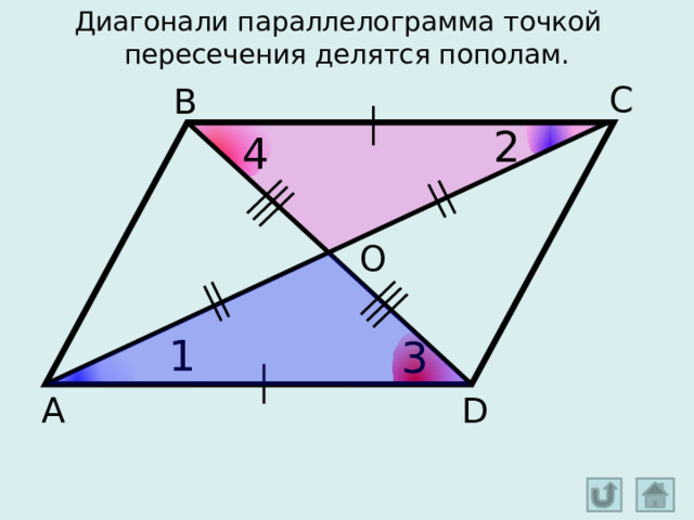 Диагонали трапеции пересекаются и делятся пополам