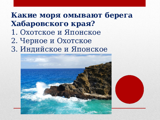 Какие моря омывают берега Хабаровского края? Охотское и Японское Черное и Охотское Индийское и Японское 