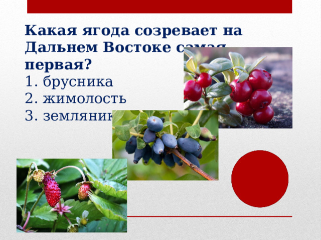 Какая ягода созревает на Дальнем Востоке самая первая? брусника жимолость земляника 