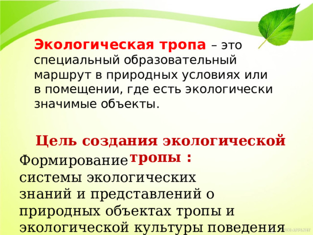 Экологическая тропа в детском саду презентация