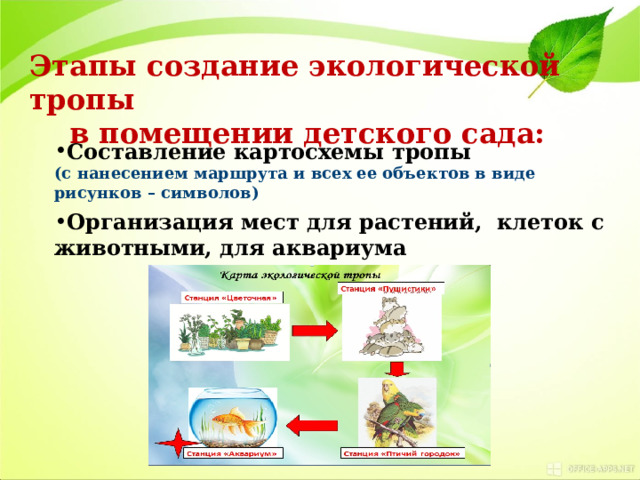 Схема экологической тропы в детском саду