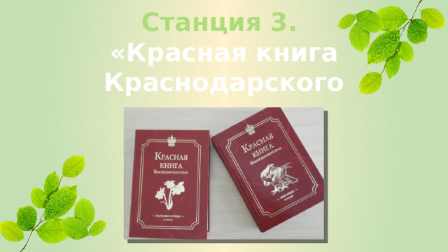 Станция 3.  «Красная книга Краснодарского края» 