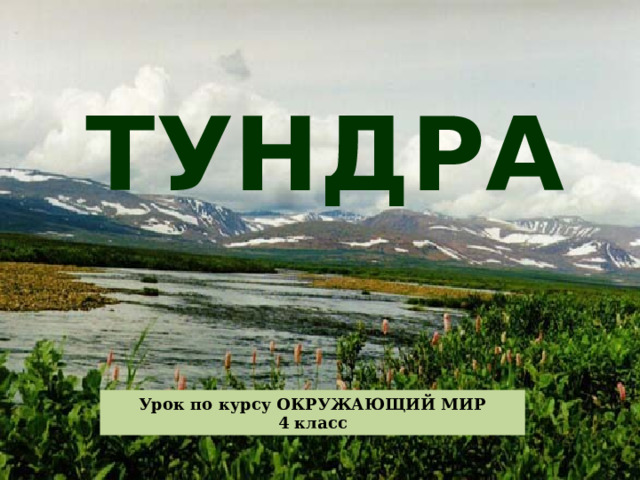 ТУНДРА Урок по курсу ОКРУЖАЮЩИЙ МИР 4 класс 