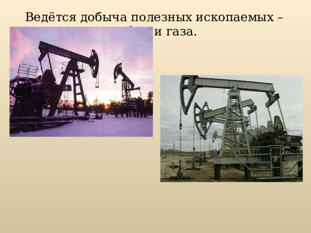 Ведётся добыча полезных ископаемых – нефти и газа. 