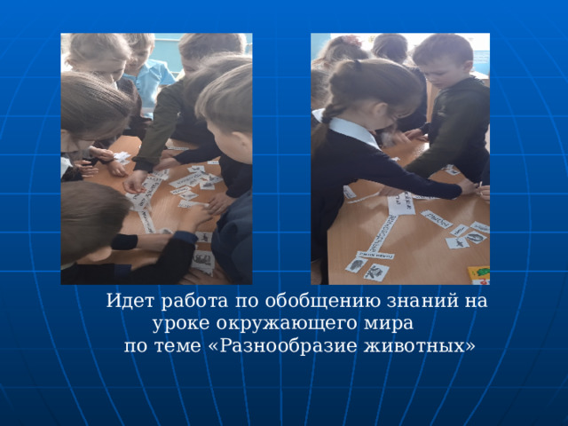 Идет работа по обобщению знаний на уроке окружающего мира  по теме «Разнообразие животных»  
