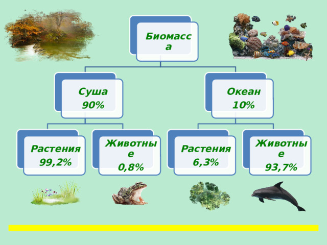 Биомасса Океан Суша 10% 90% Животные Животные Растения Растения 0,8% 93,7% 6,3% 99,2% 