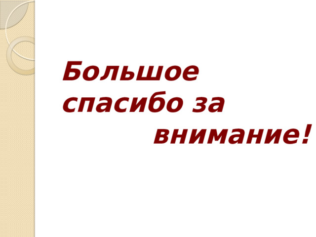 Большое спасибо за  внимание!   