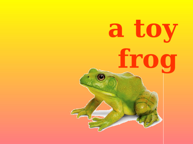 a toy frog 