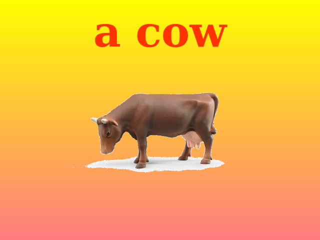 a cow 