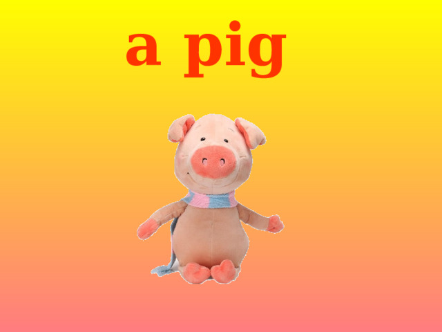 a pig 