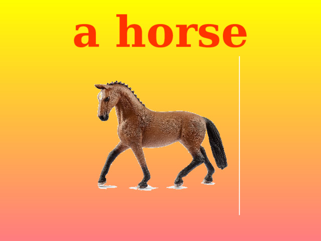 a horse 