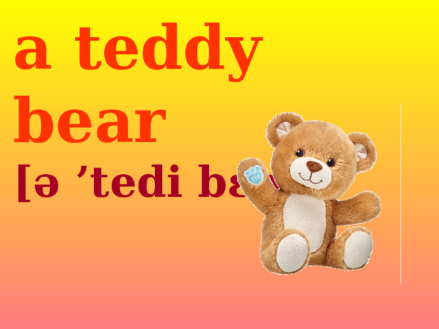 a teddy  bear [ə  ’tedi  bɛə] 