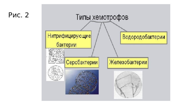 Рис. 2 