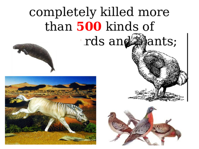 completely killed more than 500 kinds of animals, birds and plants;  