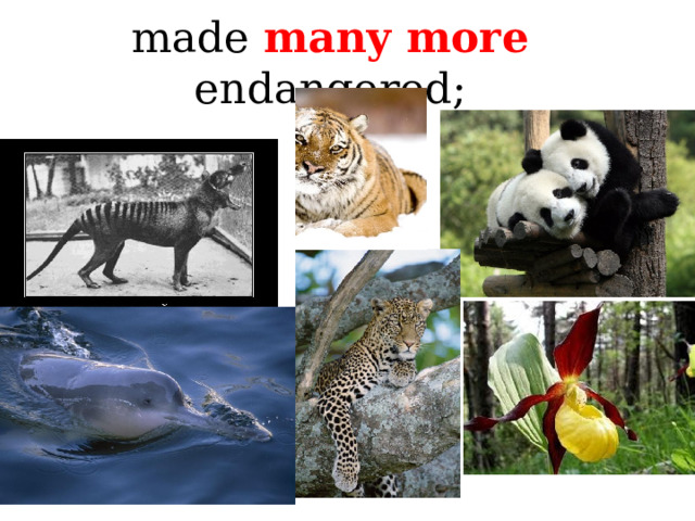 made many more endangered; 