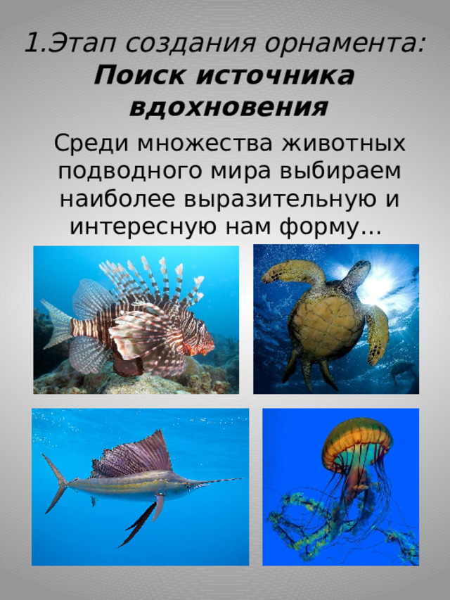 1.Этап создания орнамента: Поиск источника вдохновения Среди множества животных подводного мира выбираем наиболее выразительную и интересную нам форму… 