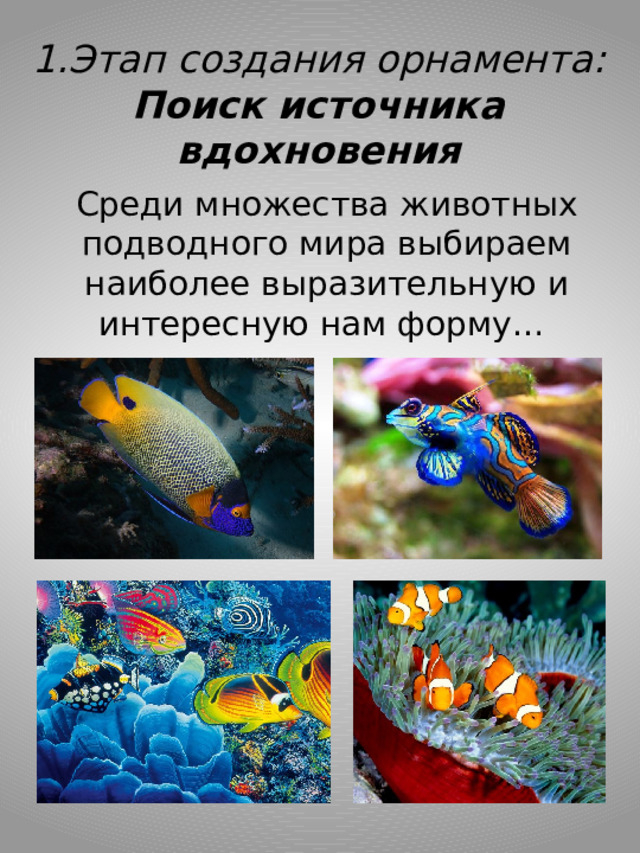 1.Этап создания орнамента:  Поиск источника вдохновения Среди множества животных подводного мира выбираем наиболее выразительную и интересную нам форму… 